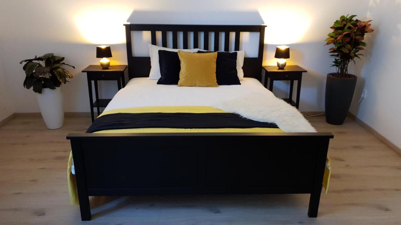 Le Monde - Amazing 5bdr In Downtown Apartment Bratislava